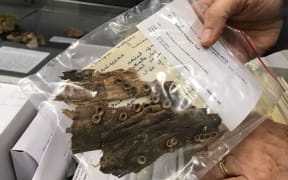 A hand holds a plastic bag that contains pieces of tree bark with bird's nest fungi growing on them - which looks like tiny brown bird nests, some look like they have tiny eggs inside. The bag has two labels inside it. One printed, and one handwritten.