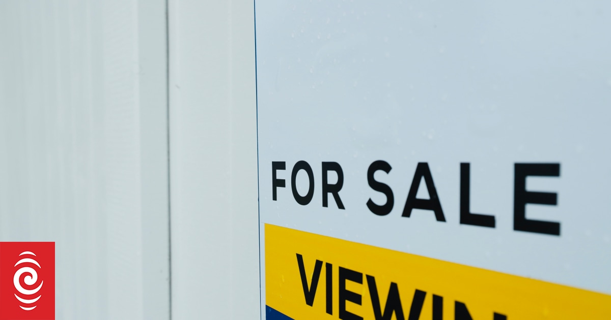 Spring finally here for housing market, REINZ says