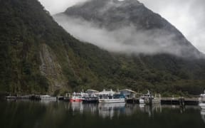 Boats docked at Milford Sound harbour in the southwest of Fiordland National Park, in July 2021.