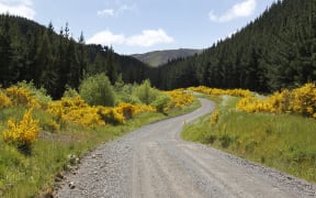Unsealed roads like Taylor Pass Road could be the biggest losers after the Marlborough District Council’s road budget fell by $10 million.