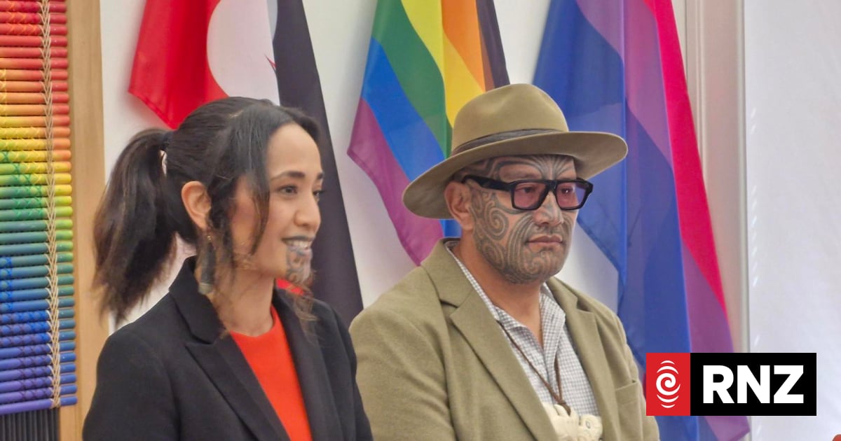Te Pāti Māori promises $200 million to change 'who holds power' for decisions about takatāpui