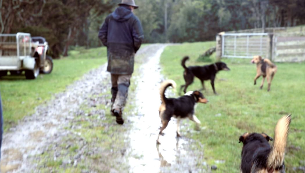 A picture of John and his dogs