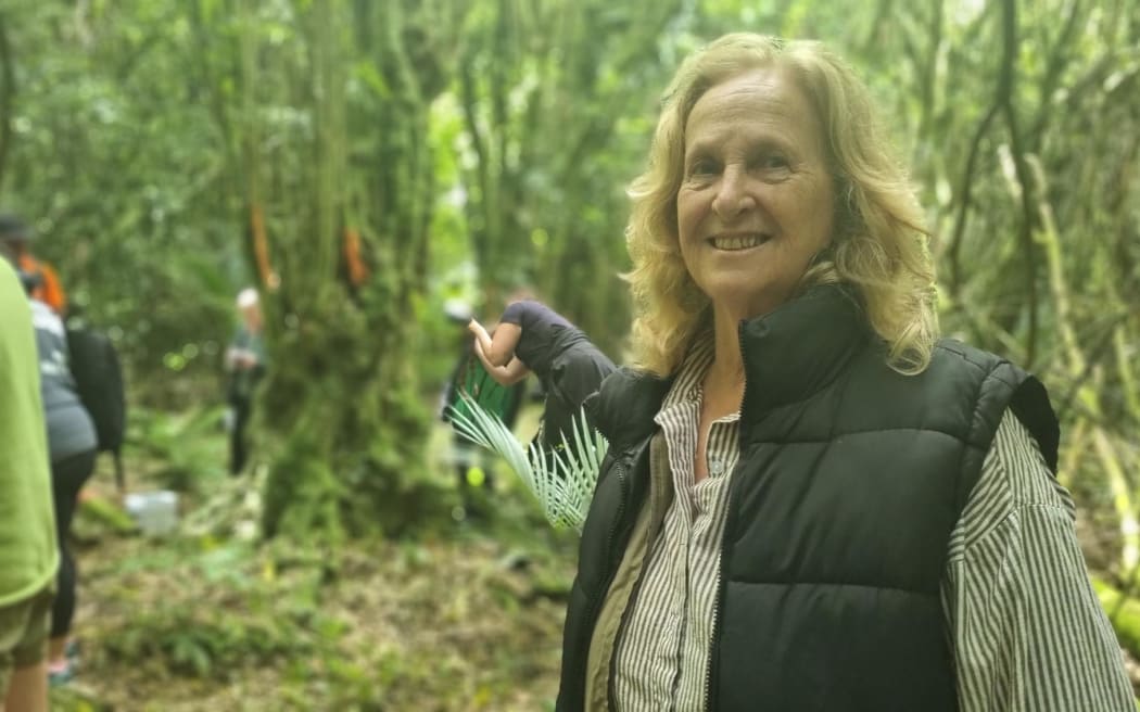 Marina Rauputu once owned the land where the giant weta were found thriving in gorse.