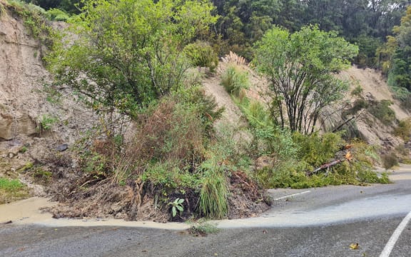Slips bring down trees near Wairoa on 13 April 2022.