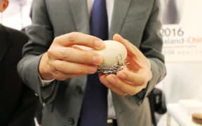Chinese ambassador with magnetised egg