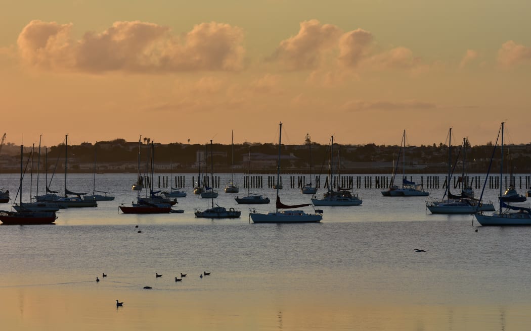 Sailboats on moorings in Okahu Bay in Auckland during sunset on calm day.
