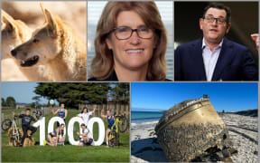Image montage