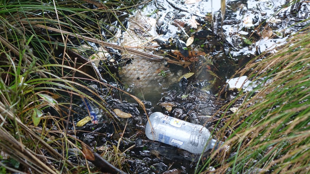 A dead fish at the edge of the water.