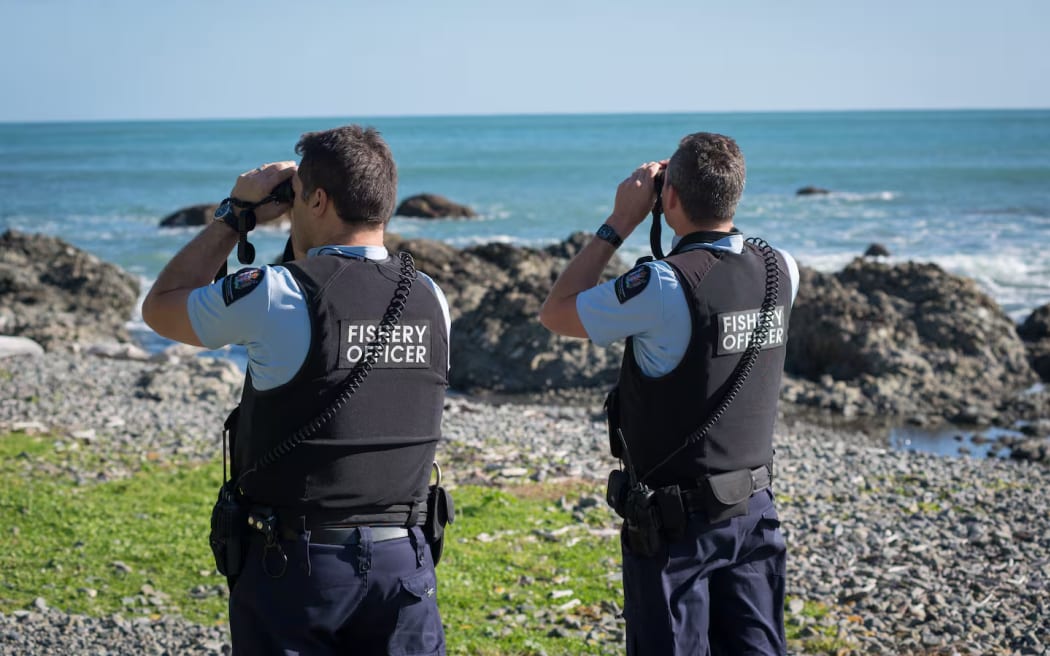 Fishery officers regularly patrol the coastline to ensure the rules are being followed. Photo / Fisheries New Zealand