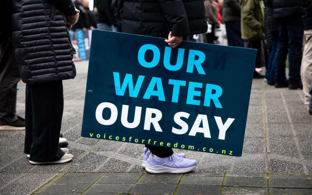 An attendee holding a sign at the Stop Tiaki Wai protest