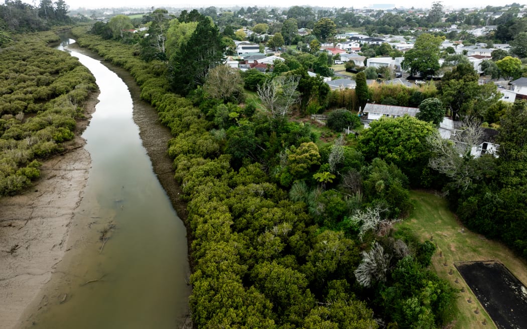 Auckland Council's head of flood resilience Tom Mansell says there will be more homes acquired to make way for flood plains in coming years as the council confirms other projects