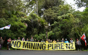 The granting of permits to prospect for minerals in conservation areas triggered protests, such as this one in Northland’s Manginangina Scenic Reserve, near Kerikeri, in 2023.