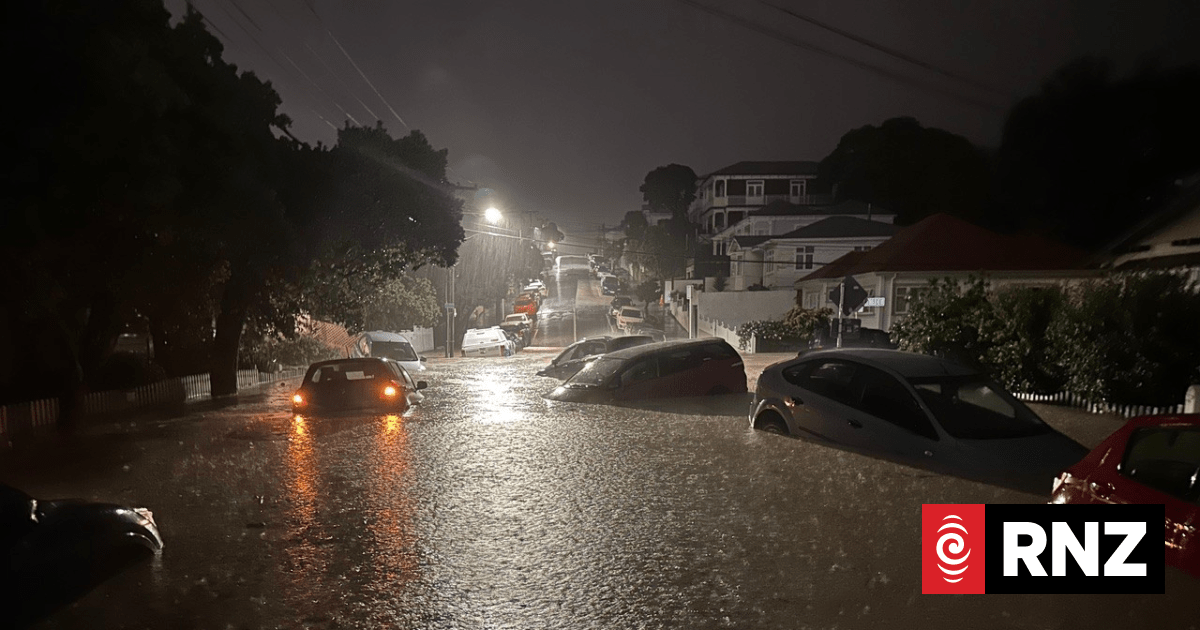 'Water everywhere': Dozens of cars seen floating in floodwaters in Mount Cook