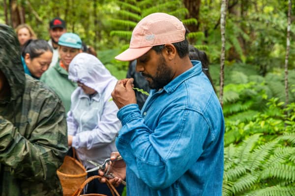 Members of the Indigenous Chef’s Collective foraging for kai Māori at Velskov native forest farm.