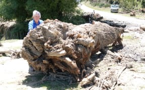 Julie Rush stands next to a huge tree stump that washed on to her property.