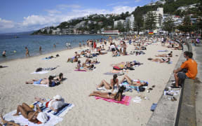 Summer in Wellington
