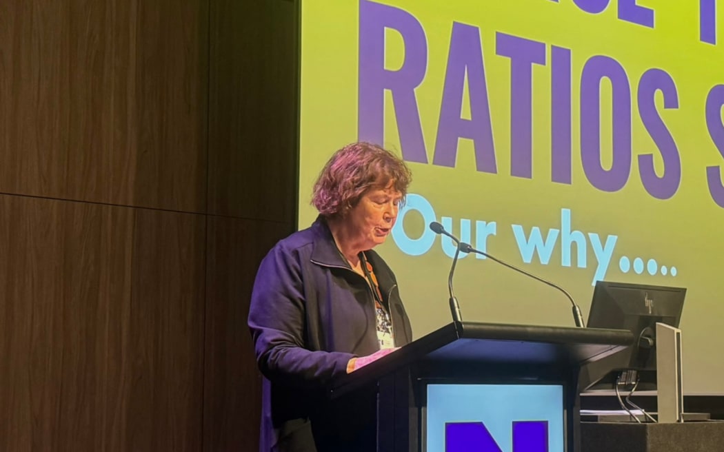 New Zealand Nurses Organisation president Anne Daniels speaking at the conference this morning