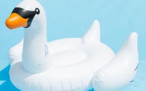 Ride on swan