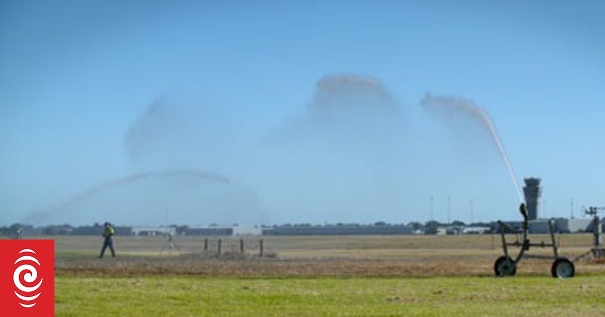 How to be smart about watering in a drought | RNZ