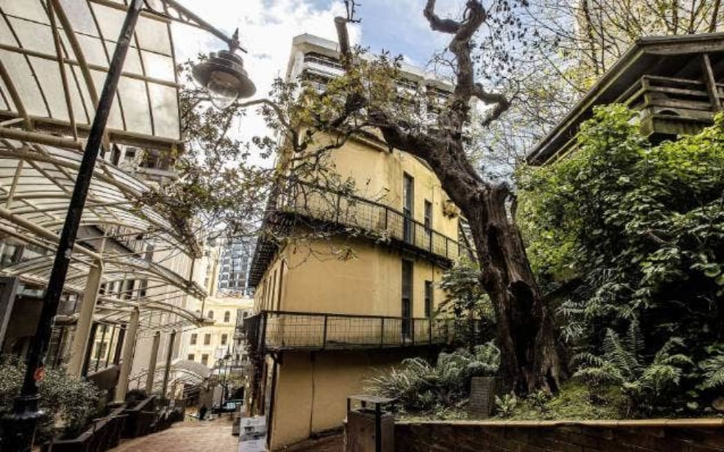 The Plimmer’s Oak has been nominated for New Zealand’s tree of the year.