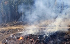 It could take days to extinguish a wildfire burning in a Canterbury pine forest, Fire and Emergency says. Fire crews have been fighting the blaze near Waipara in the Hurunui district since being alerted to it on Thursday night.