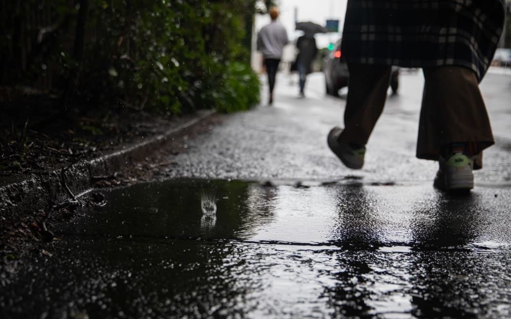 Wellington Rain