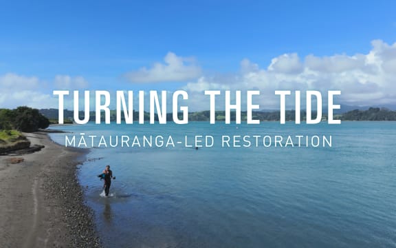 Coastline scene with a person in the shallows holding up an impressive fish.  Text reads "Turning The Tide: Mātauranga-led restoration"