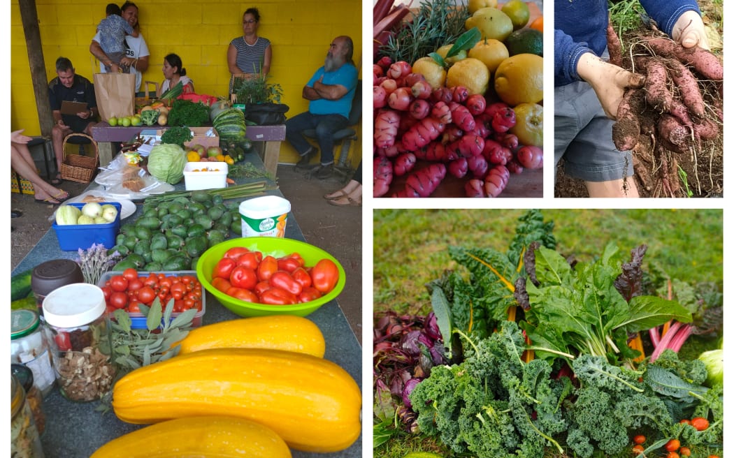 Community crop swapping initiative in Waitara