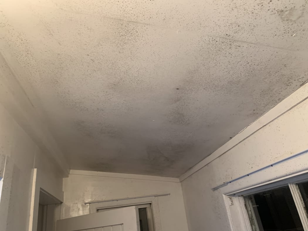 Mould covers the walls and ceilings of home on Wellington's Mt Victoria currently advertised to be rented out for $1200 per week.