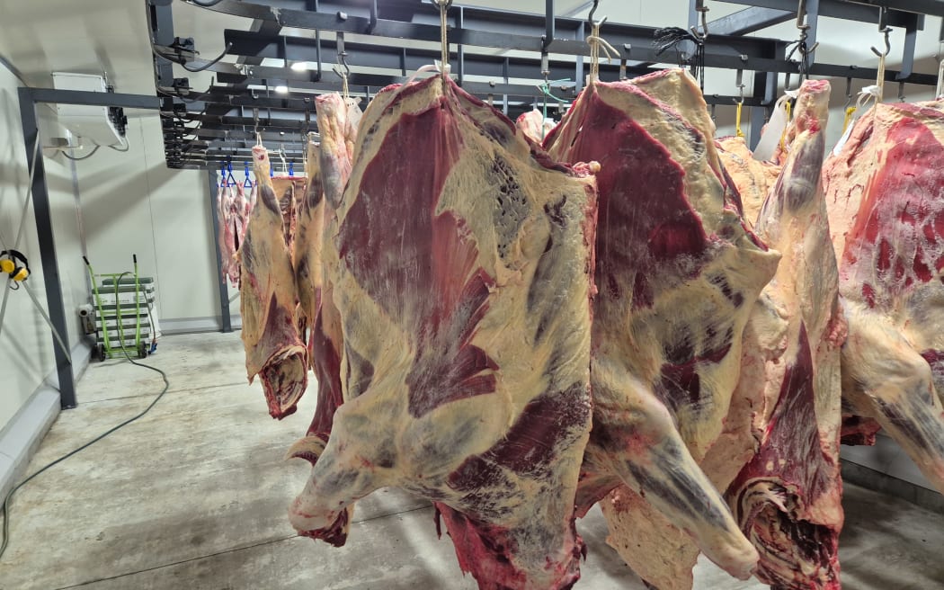 Meet is left to hang in the chiller for a few days before being sent to the butchery.