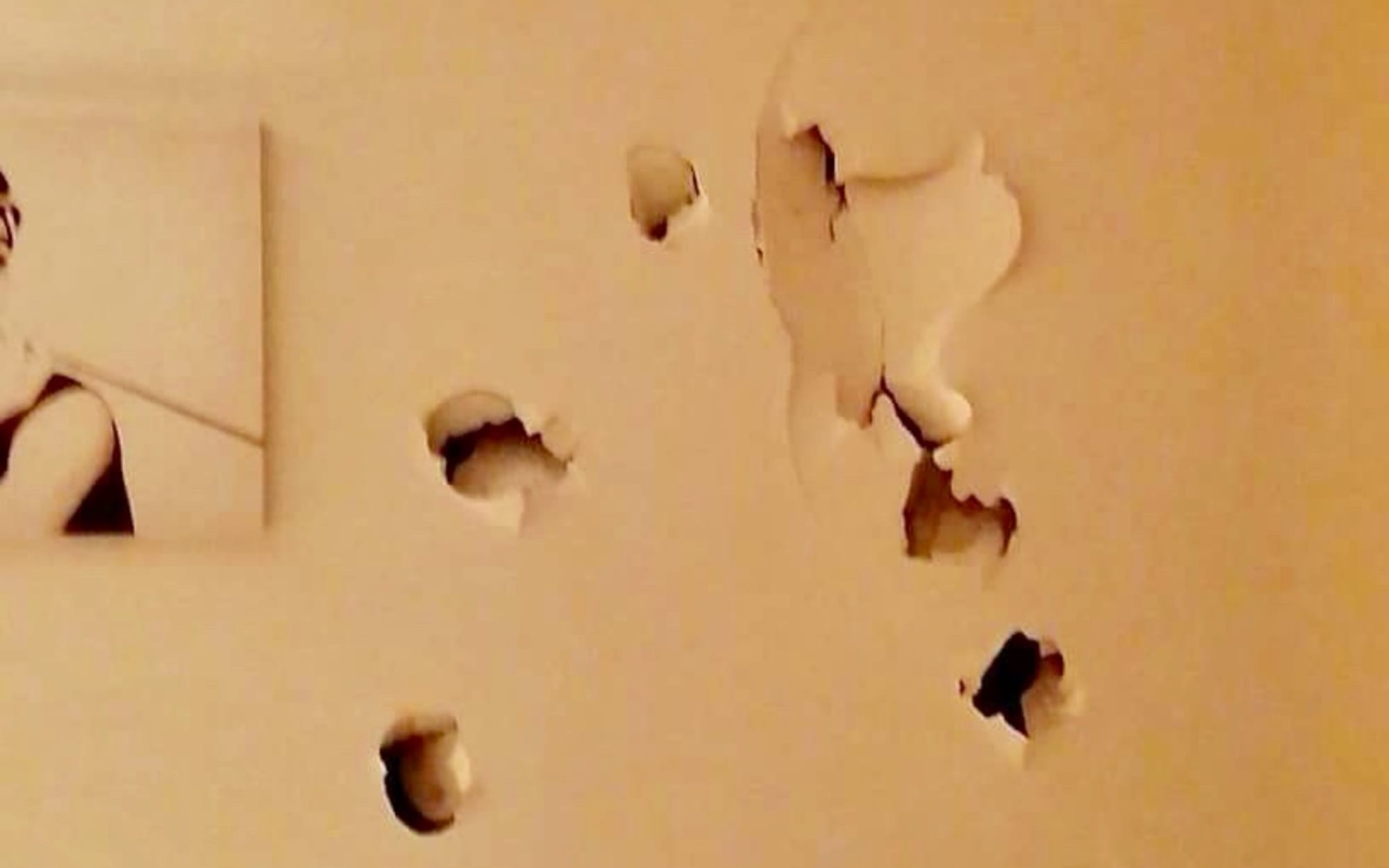 Damage to the walls of a Hillsborough property which Yuliana Desta says was caused by her former partner, ex-All Black Byron Kelleher, during a drunken, violent episode.