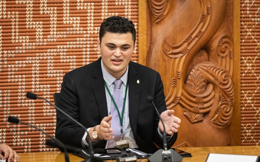 Youth MP Armani Capone Heremaia Kuri chairing the Youth Parliament's Maori Affairs Select Committee.