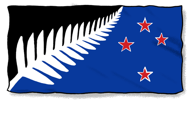 Flag failure: Where did it go wrong? | RNZ