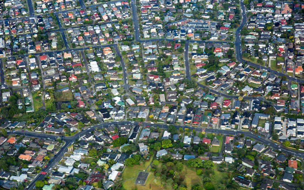 An aerial view of an Auckland suburb showing many blocks of housing.