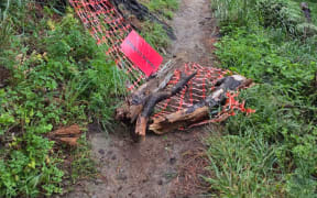"Track closed" safety sign torn down.