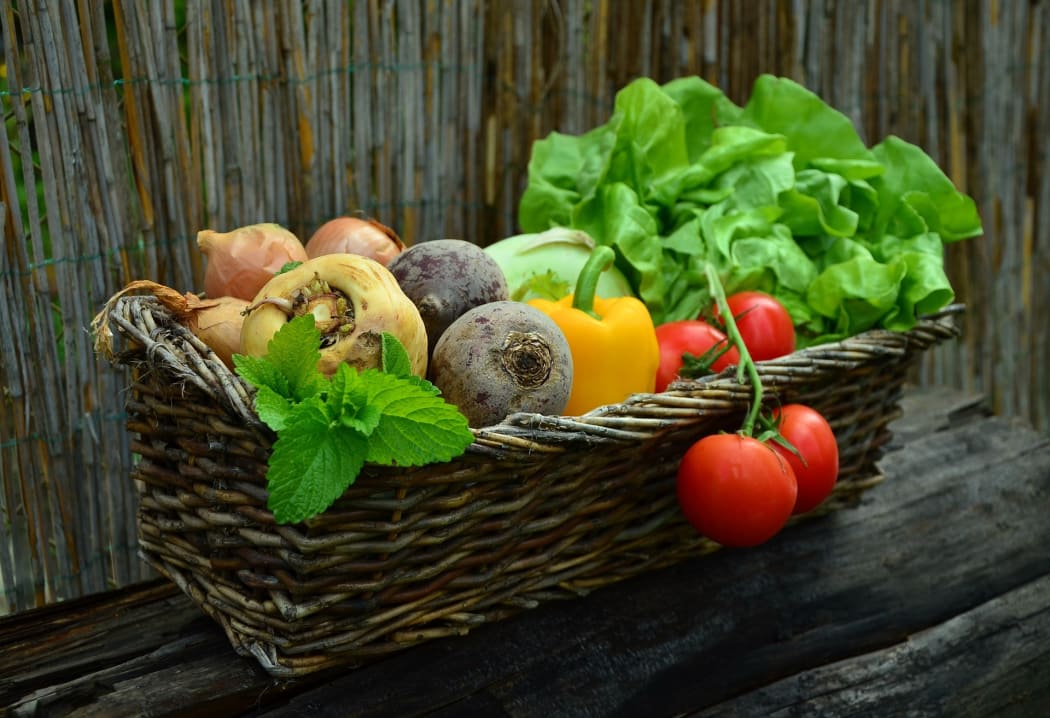A basket of vegetables from the garden