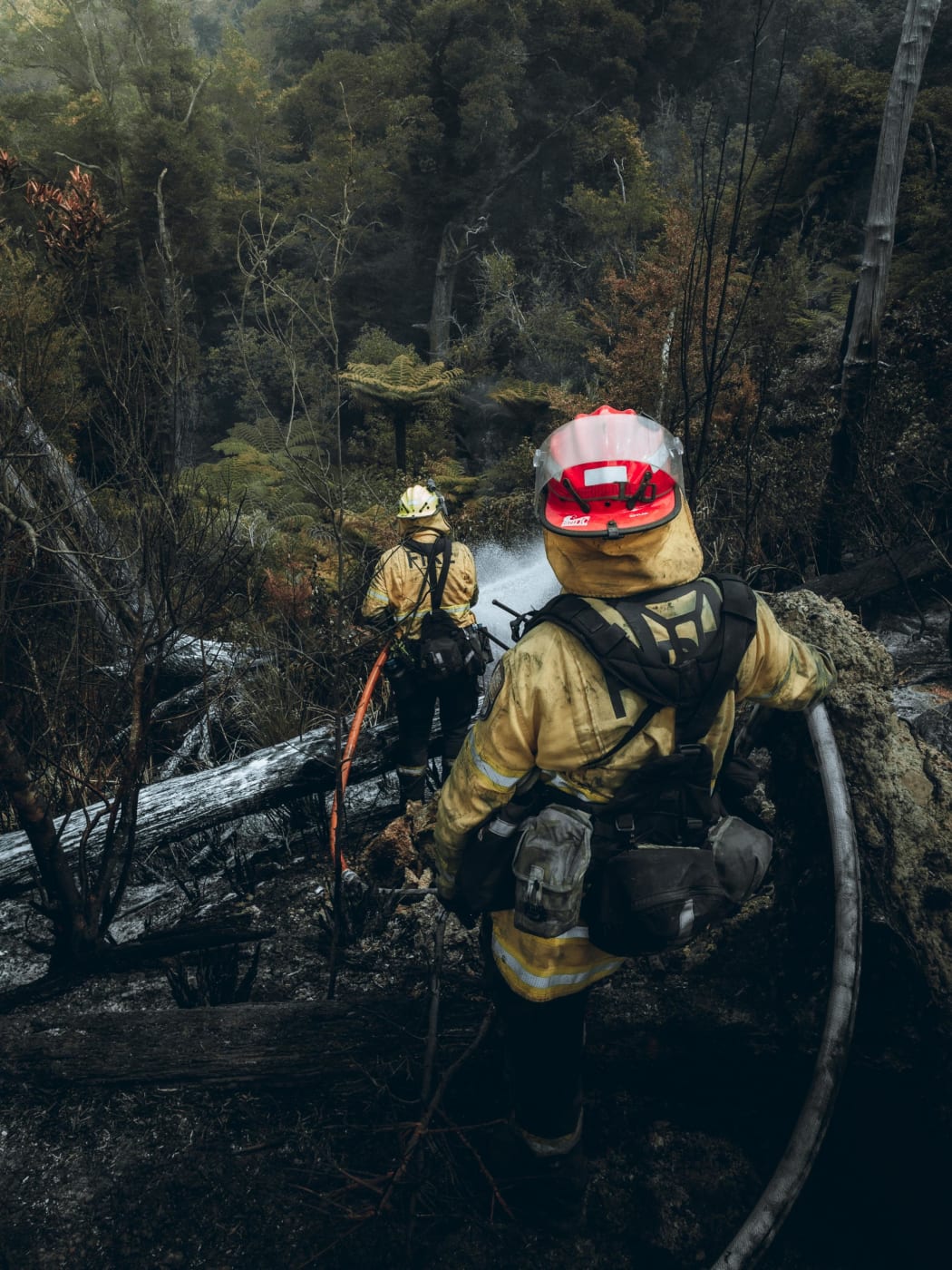 Five fire crews have been at the site of the Trentham scrub fire today.