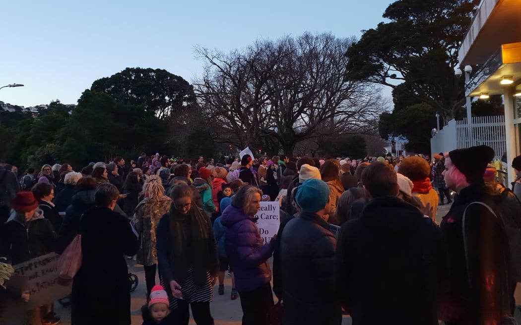 Protesters in Wellington