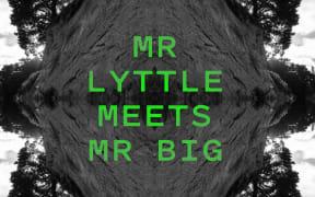 Promotional image for the 'Mr Lyttle Meets Mr Big' podcast. A moody black and white landscape is mirrored vertically and horizontally, creating a rorschach like effect with the name of the podcast in a vibrant green overlaid.