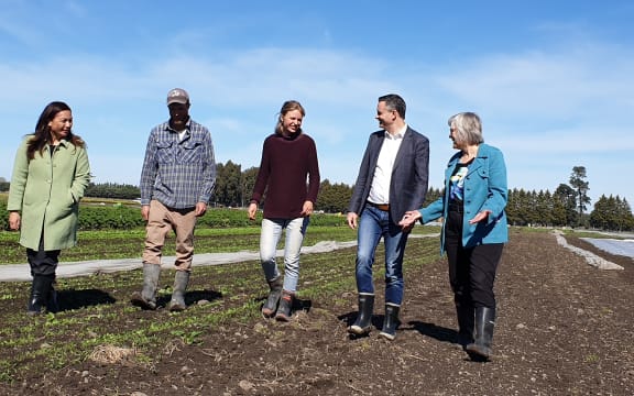 Green Party co-leaders Marama Davidson and James Shaw along with environment spokesperson Eugenie Sage being shown around by Logan Kerr and Dominique Schacherer on an organic farm in Leeston on 12 September, 2020.
