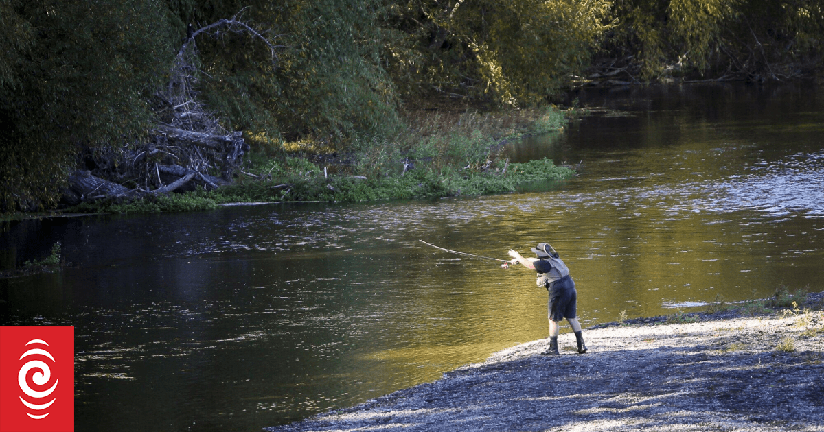 Hawke’s Bay swimmers urged to check for toxic algae