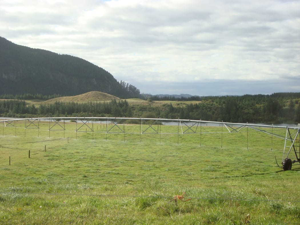 One of the Crafar farms that was up for sale in 2010.