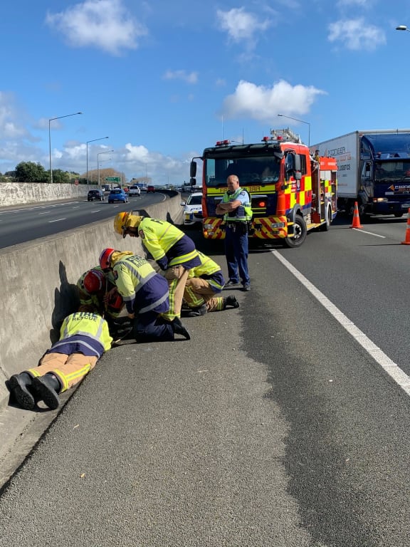 Emergency crews try to rescue the ducks form the motorway drain.