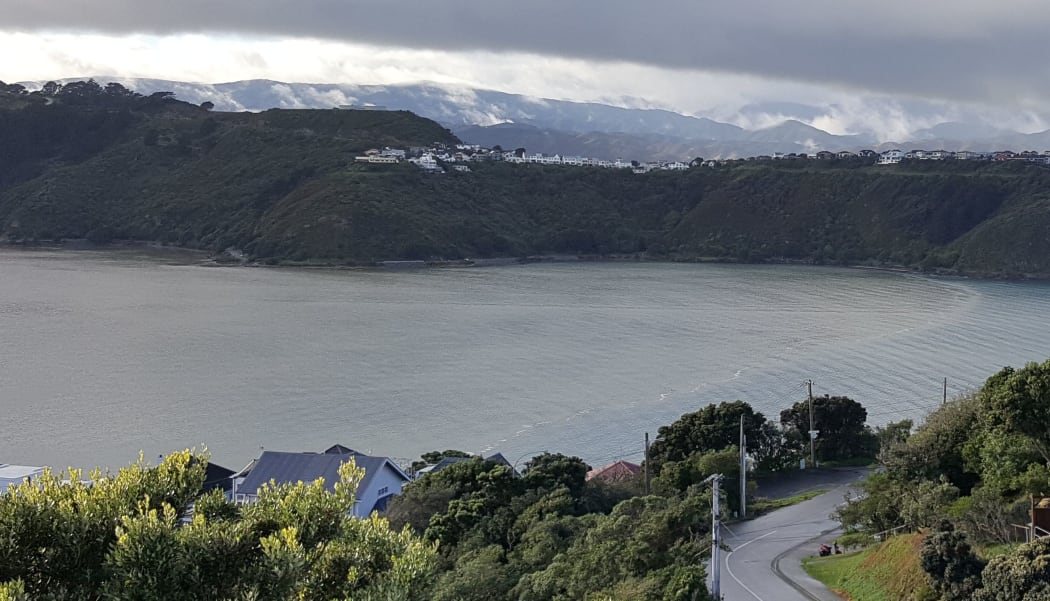 After heavy rain, a plume of muddy flood water from the Hutt River is pushed up Evans Bay by an incoming tide. The freshwater is floating on top of the seawater.