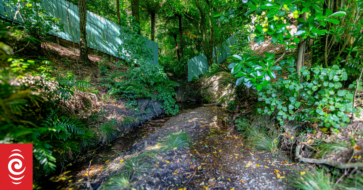 The hidden river that shapes central Wellington