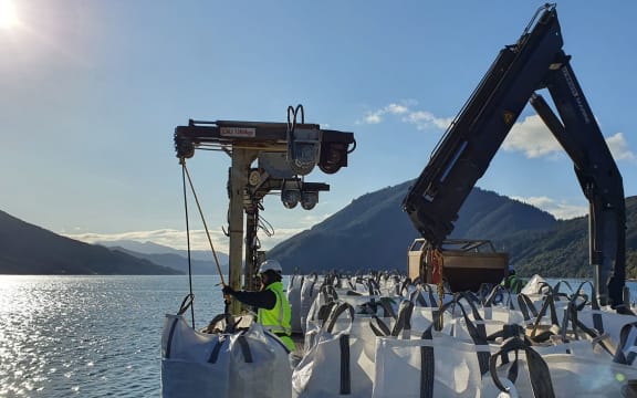 Sanford vessel Lady Marie deposits the first bag of mussel shells.