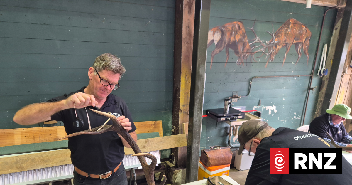 Country Life heads to Pureora Hunting Competition
