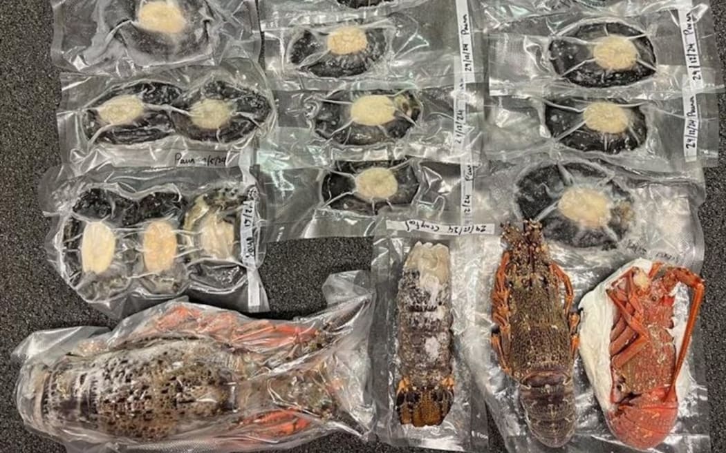 Joshua Spooner's catch. He pleaded guilty in the Nelson District Court to selling seafood without a commercial permit, after he and three mates went on a dive trip to a remote beach in northwest Nelson.