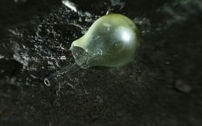 Methamphetamine