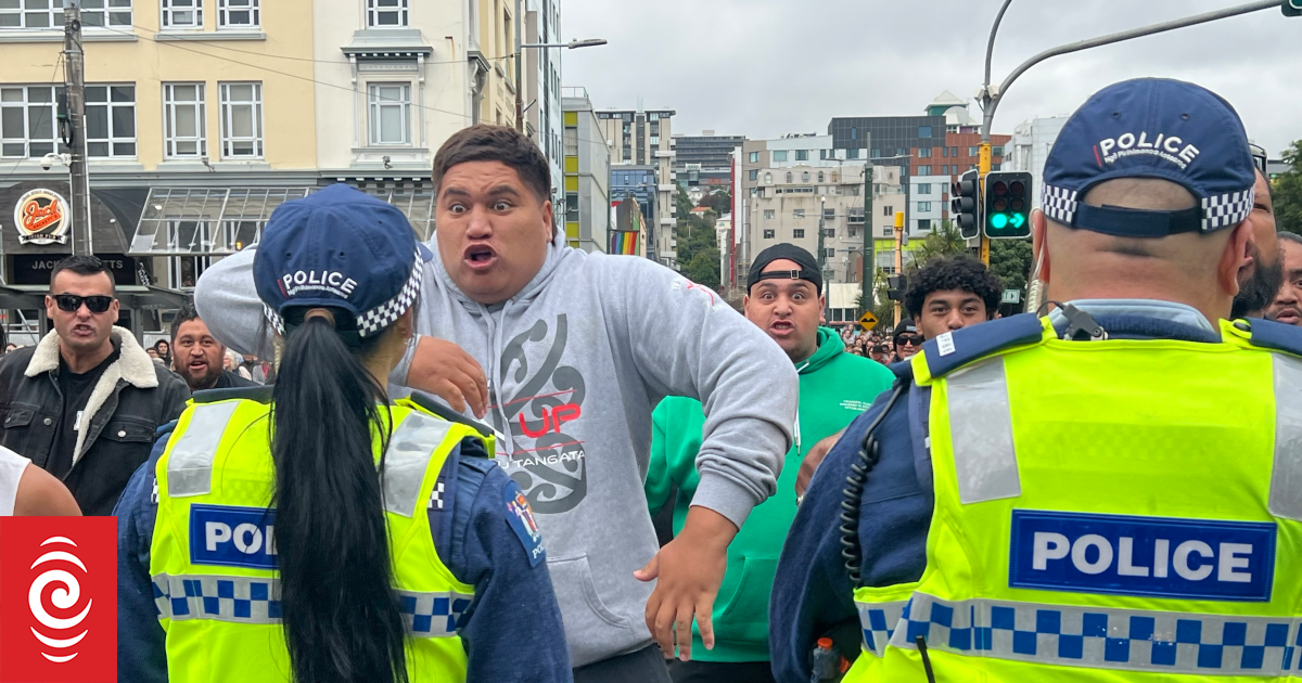 Man Up protesters disrupt Wellington Pride parade